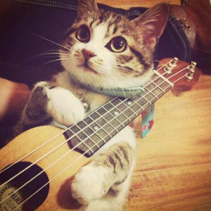 大胸肌男生和男生色色网络
