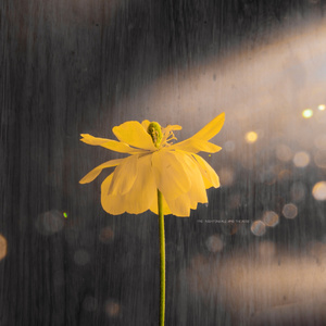 大胸肌男生和男生色色网络
